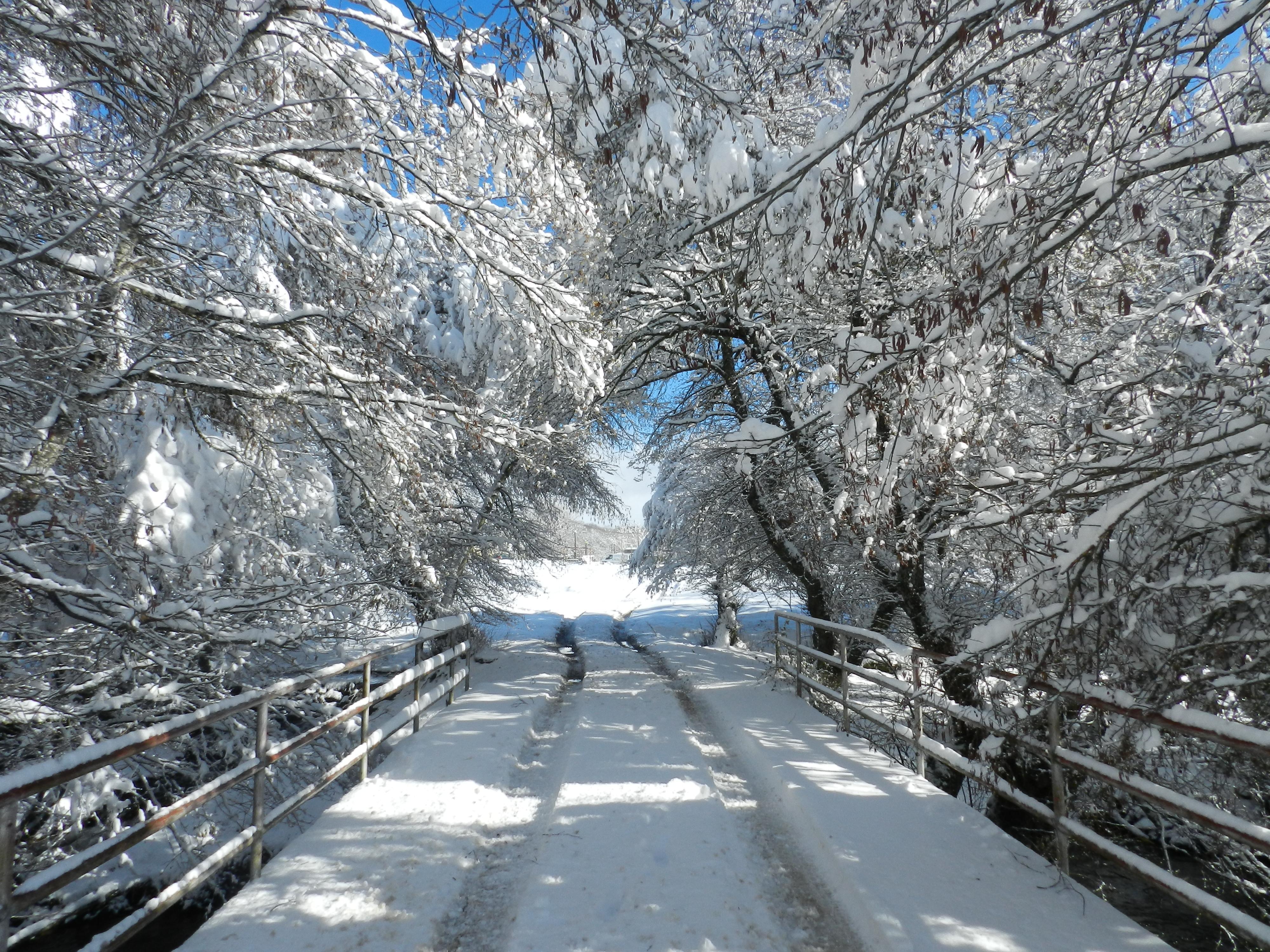 Posada Real La Pascasia Пуебла-де-Санабрія Екстер'єр фото